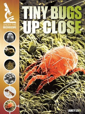 cover image of Tiny Bugs Up Close